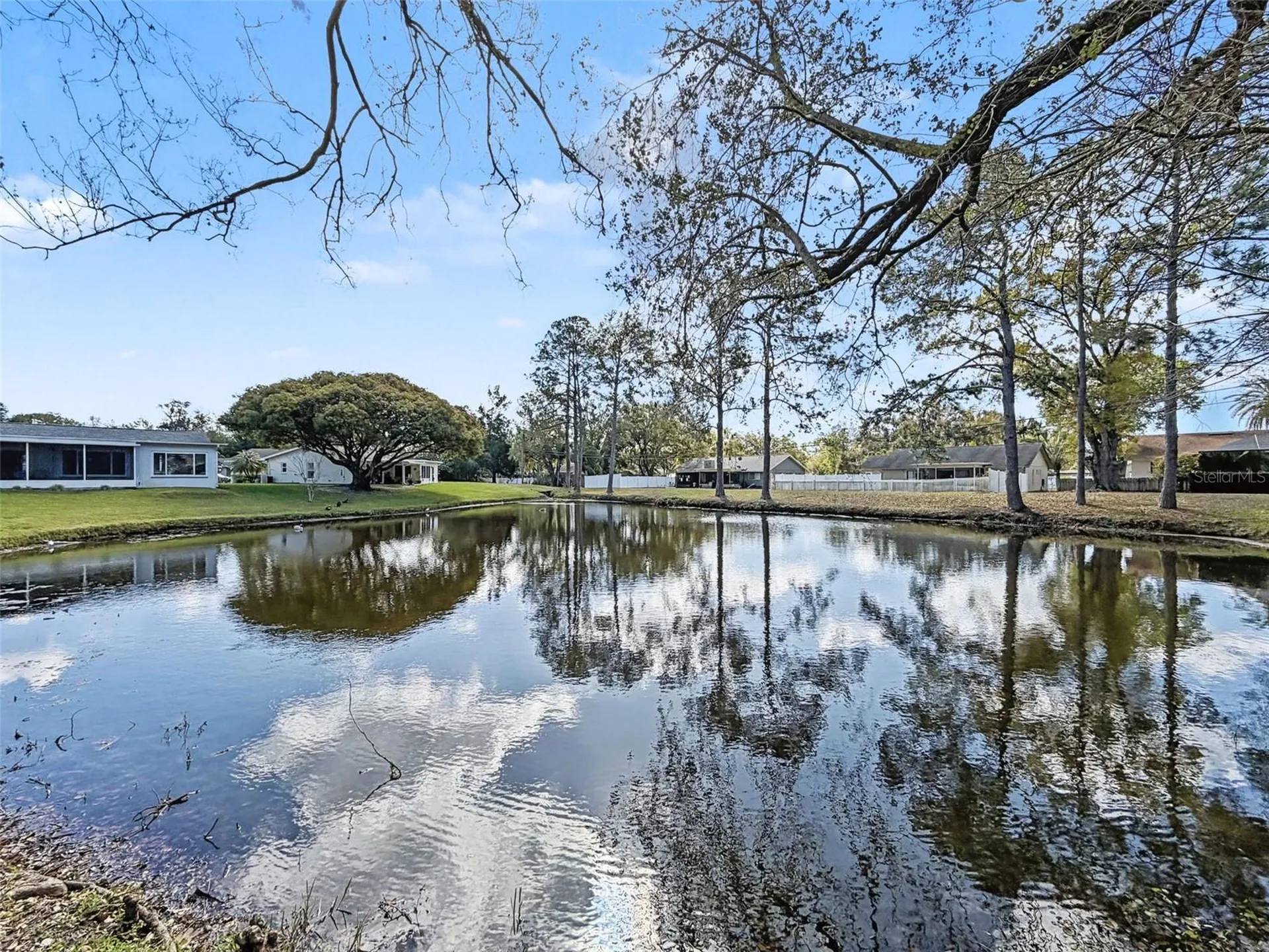 1446 Queen Anne Boulevard Palm Harbor FL 34684