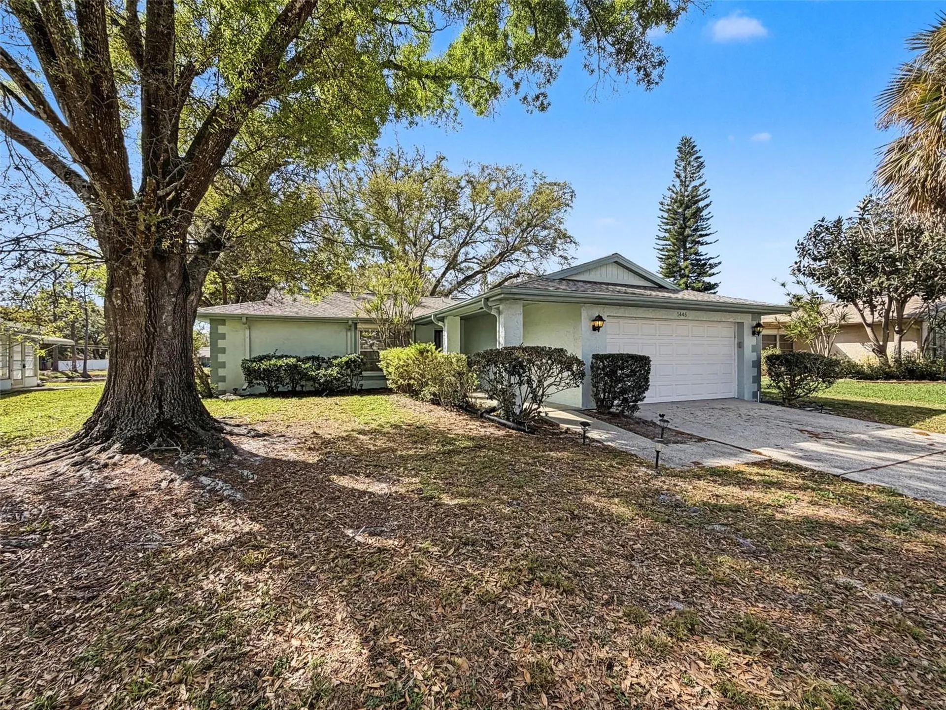 1446 Queen Anne Boulevard Palm Harbor FL 34684