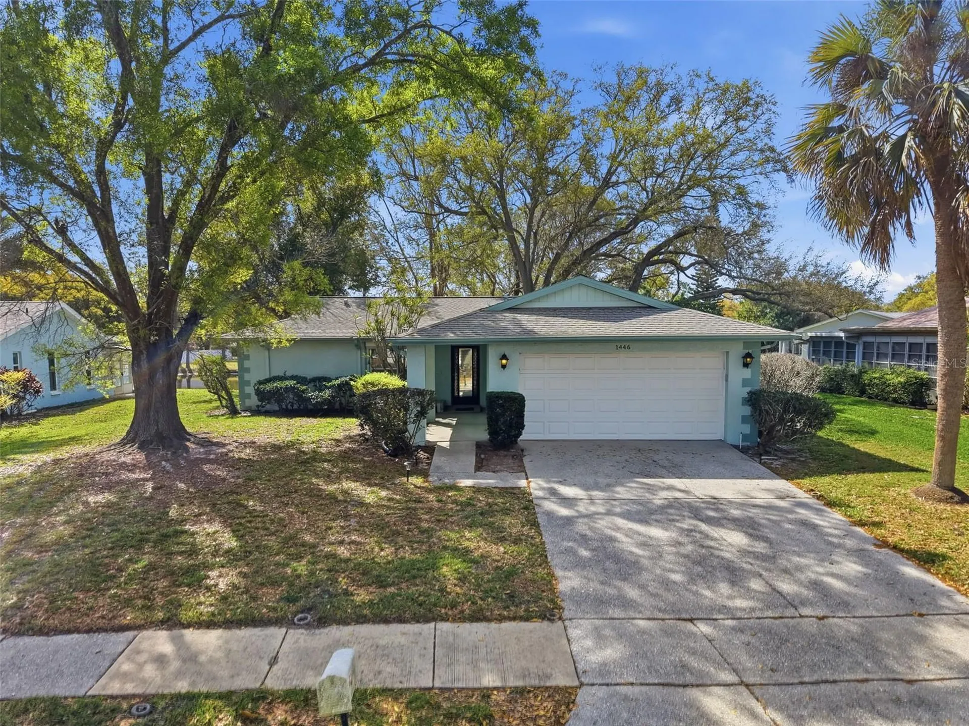 1446 Queen Anne Boulevard Palm Harbor FL 34684