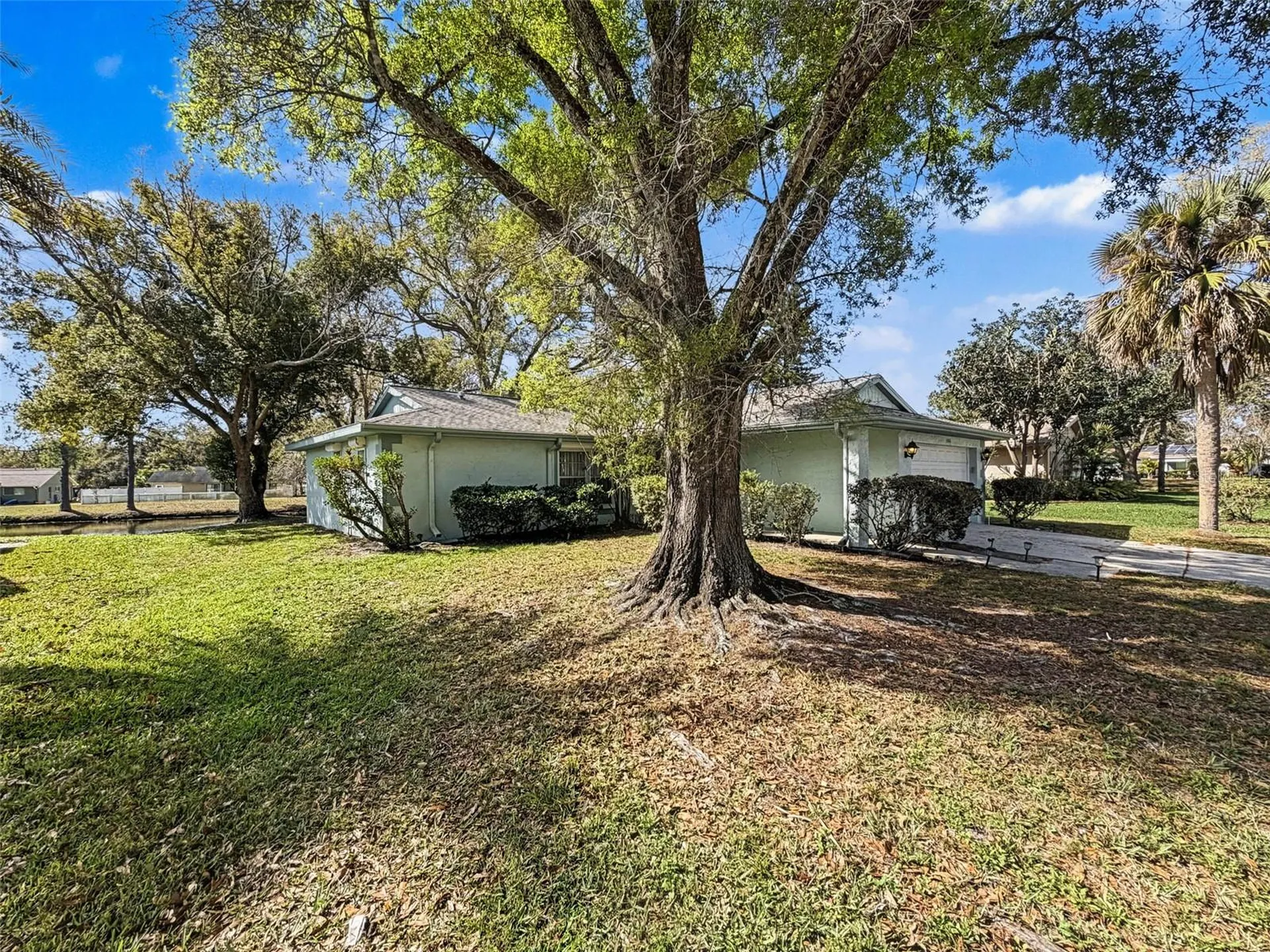 1446 Queen Anne Boulevard Palm Harbor FL 34684