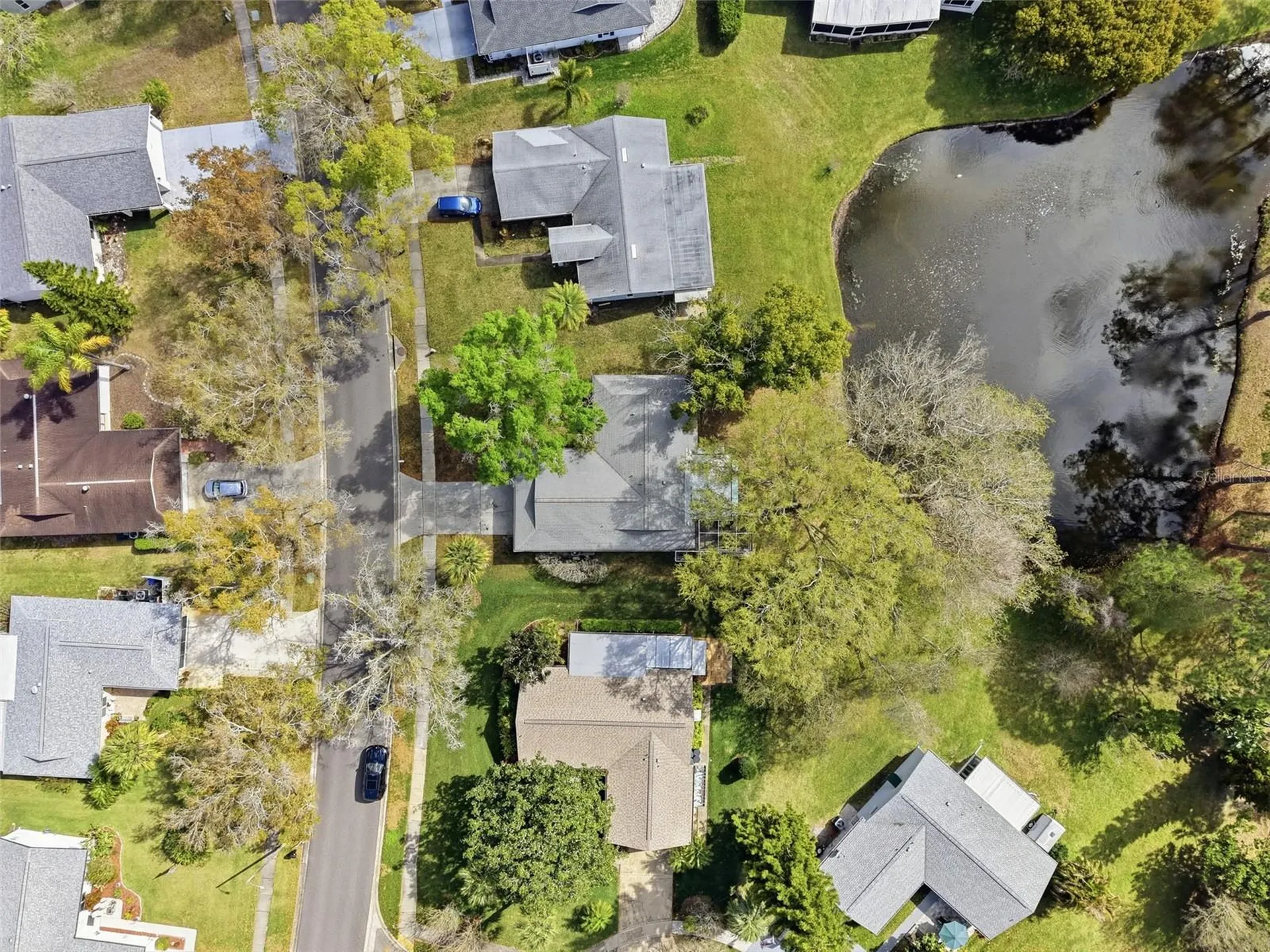 1446 Queen Anne Boulevard Palm Harbor FL 34684
