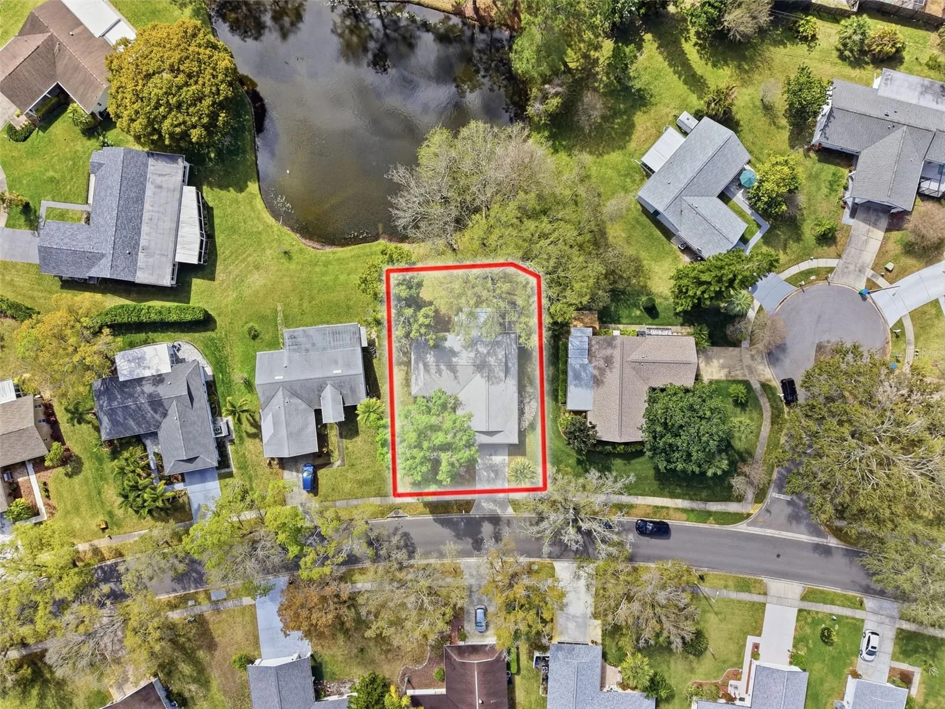 1446 Queen Anne Boulevard Palm Harbor FL 34684