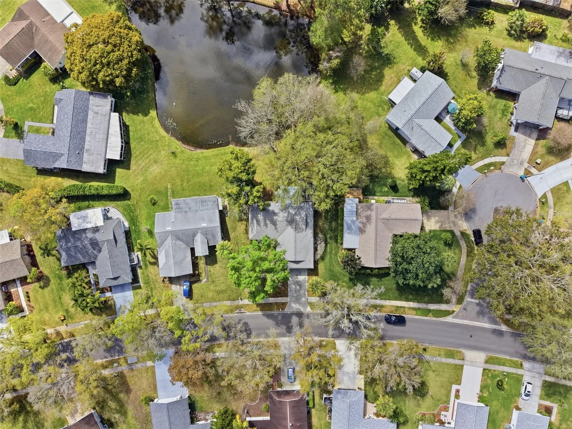 1446 Queen Anne Boulevard Palm Harbor FL 34684