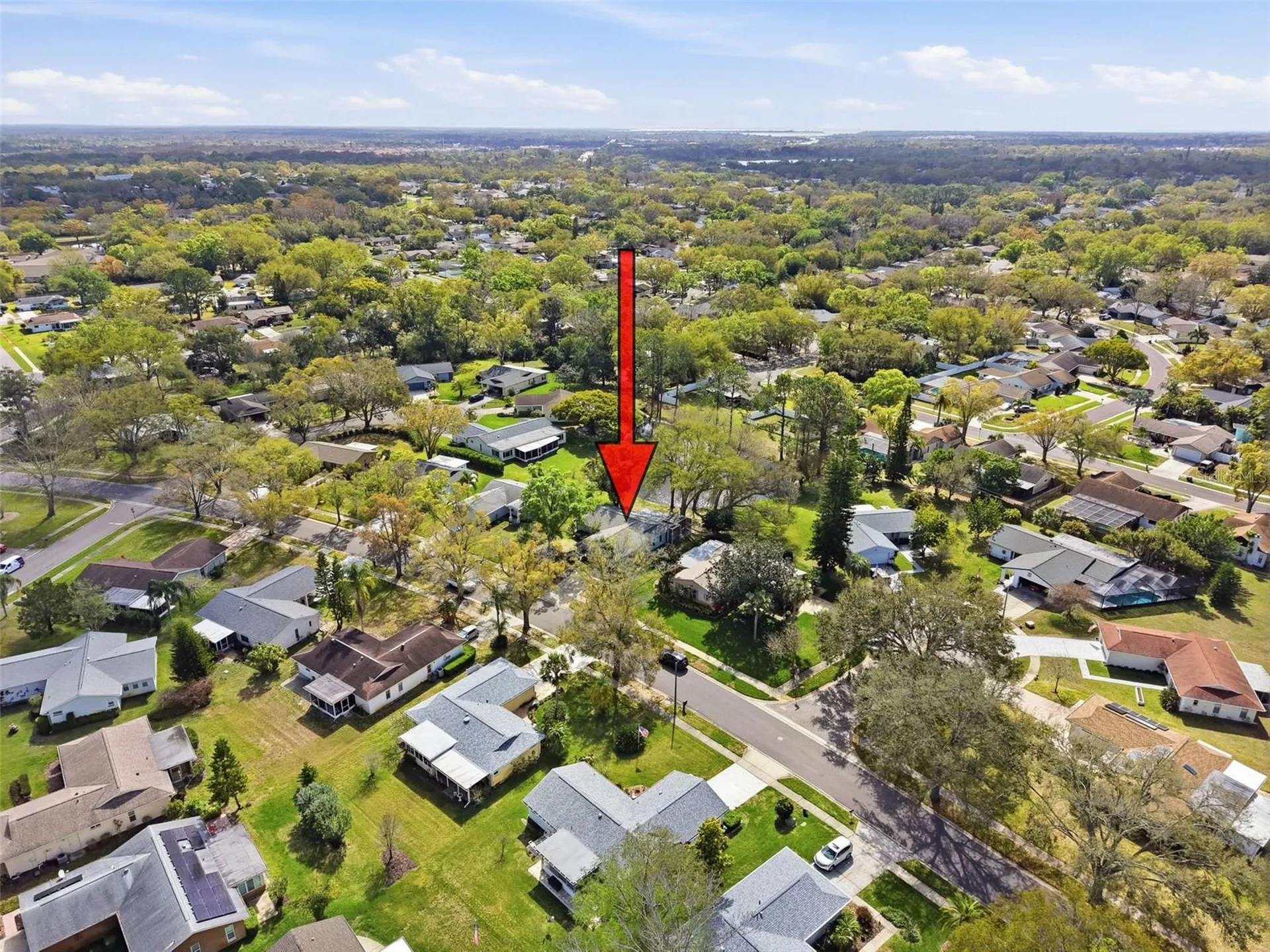 1446 Queen Anne Boulevard Palm Harbor FL 34684