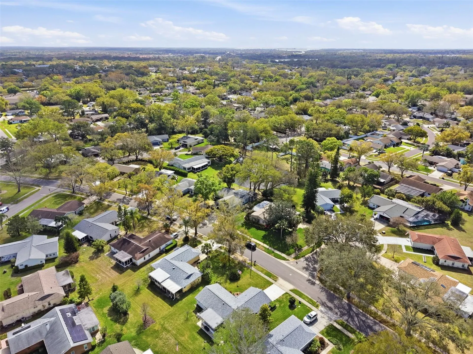 1446 Queen Anne Boulevard Palm Harbor FL 34684