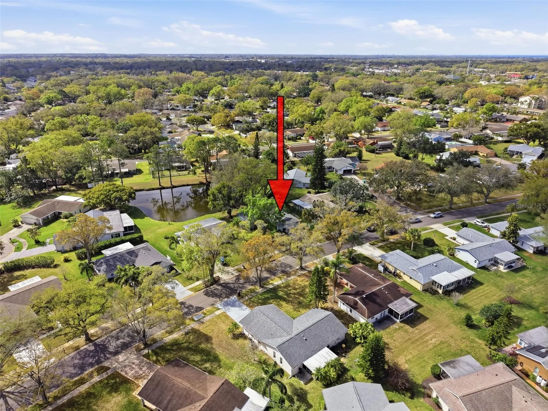 1446 Queen Anne Boulevard Palm Harbor FL 34684