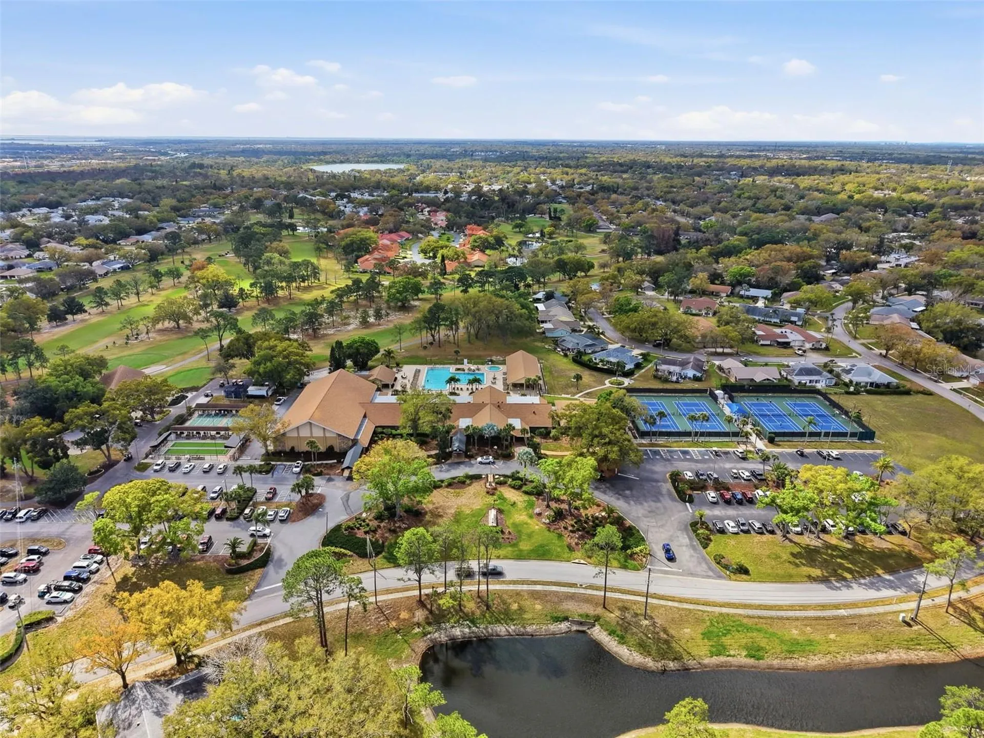 1446 Queen Anne Boulevard Palm Harbor FL 34684