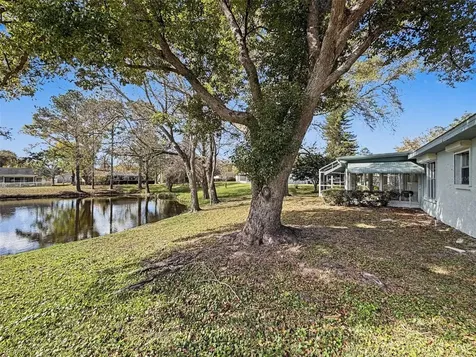 1446 Queen Anne Boulevard Palm Harbor FL 34684