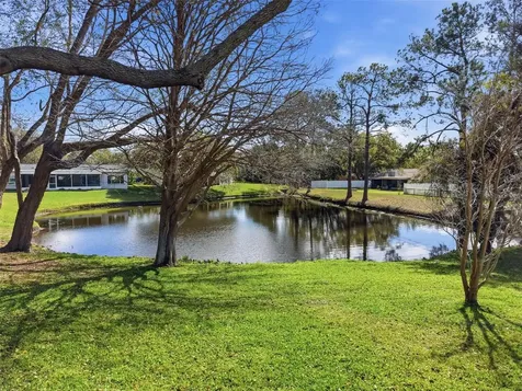 1446 Queen Anne Boulevard Palm Harbor FL 34684