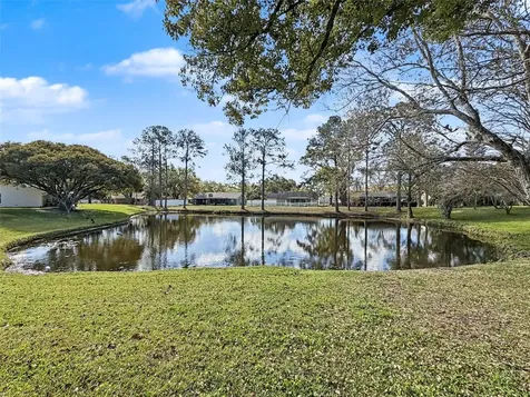 1446 Queen Anne Boulevard Palm Harbor FL 34684