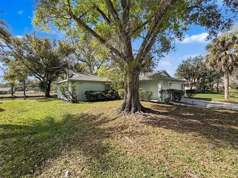 1446 Queen Anne Boulevard Palm Harbor FL 34684