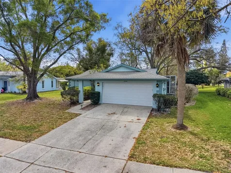 1446 Queen Anne Boulevard Palm Harbor FL 34684