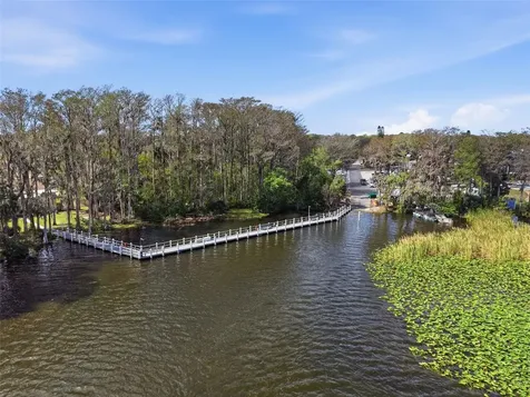 1446 Queen Anne Boulevard Palm Harbor FL 34684