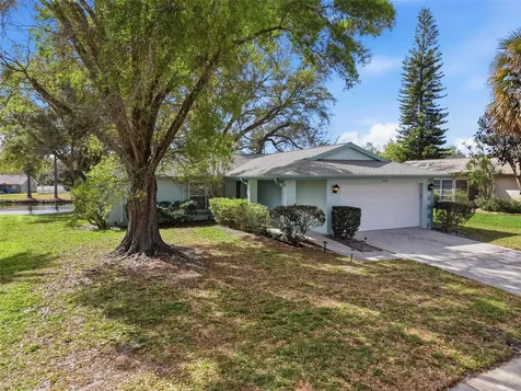 1446 Queen Anne Boulevard Palm Harbor FL 34684