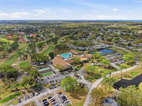 1446 Queen Anne Boulevard Palm Harbor FL 34684