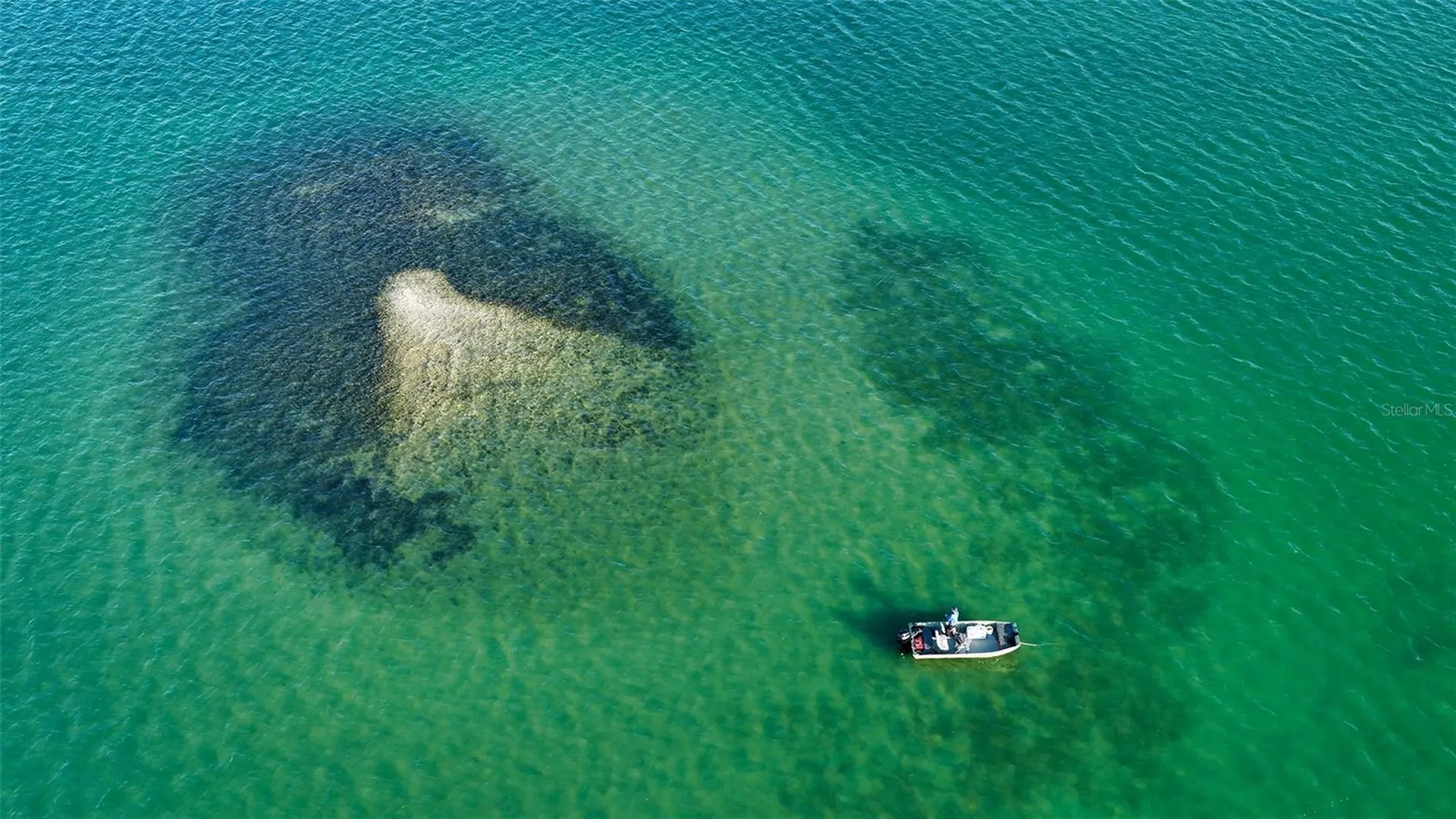 324 Bayshore Drive Osprey FL 34229