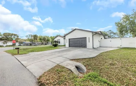 4030 Fieldgreen Place Land O Lakes FL 34639