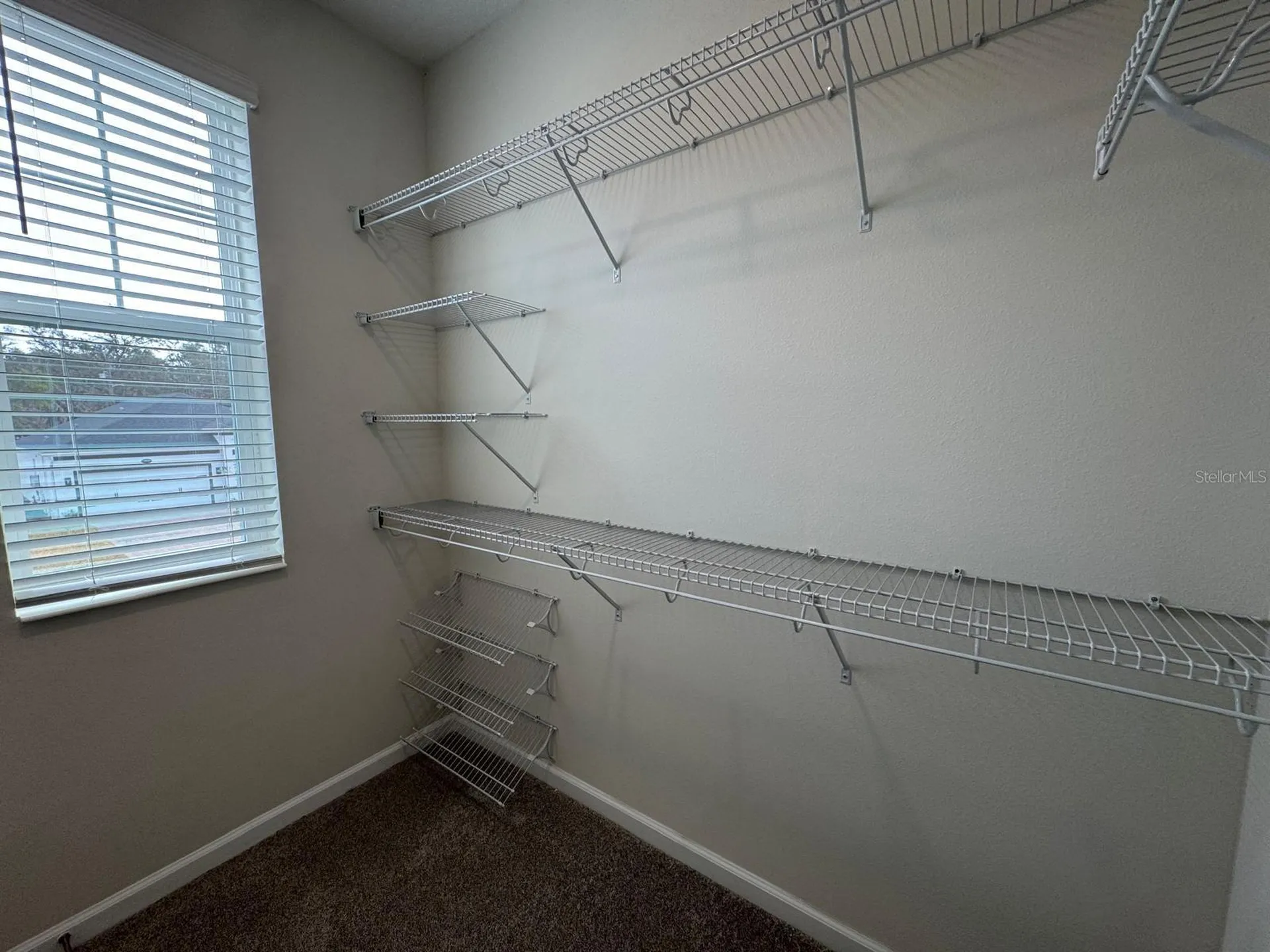 342 Lady Palm Street Apopka FL 32703