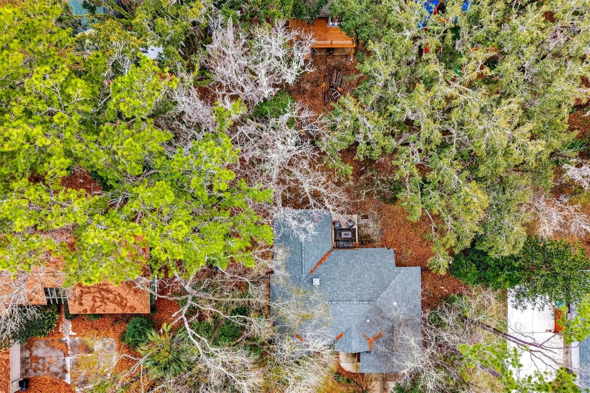 305 NW 28th Street Gainesville FL 32607