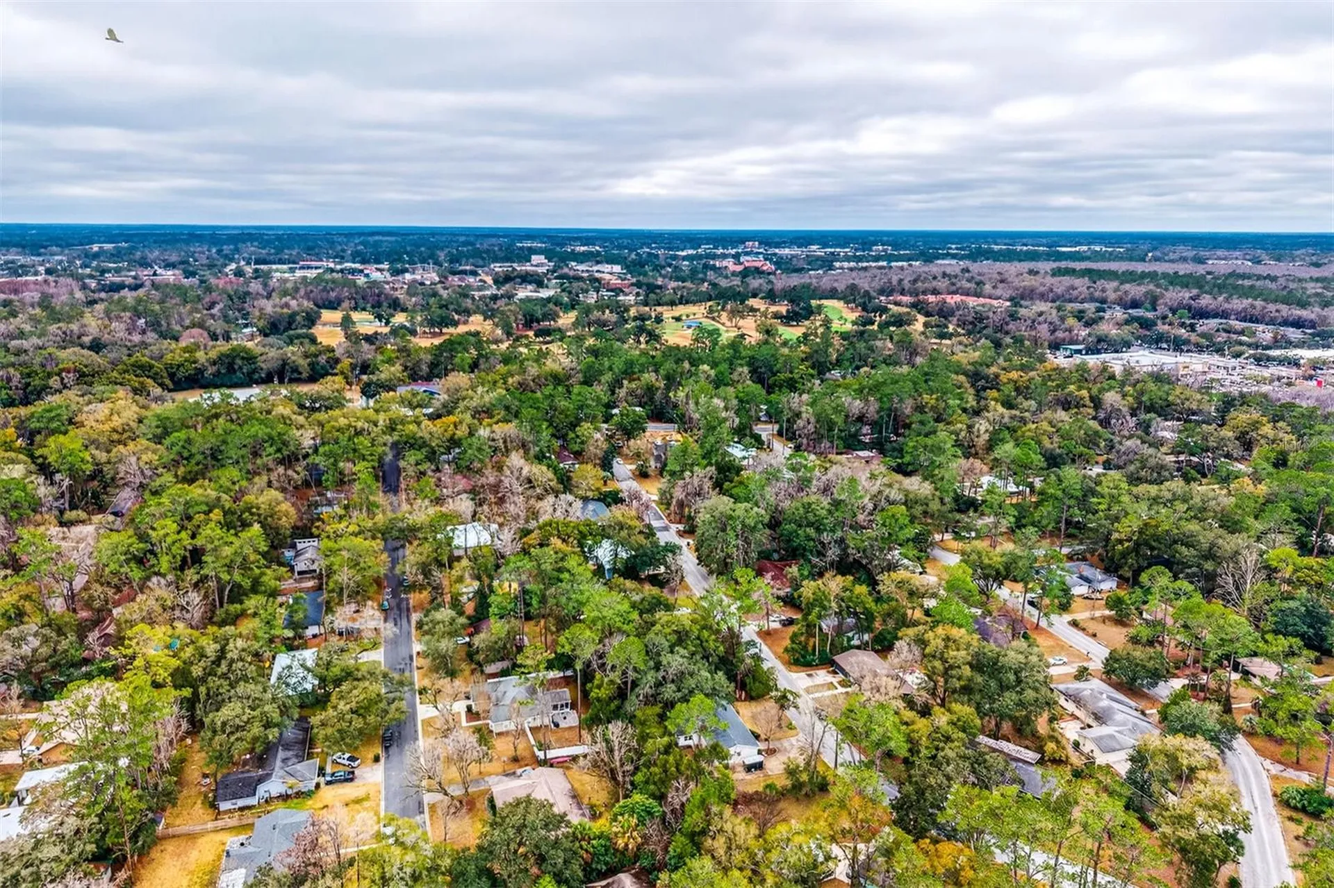 305 NW 28th Street Gainesville FL 32607