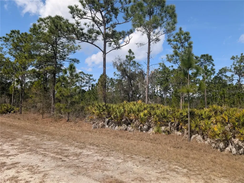 614 Alba Drive Indian Lake Estates FL 33855