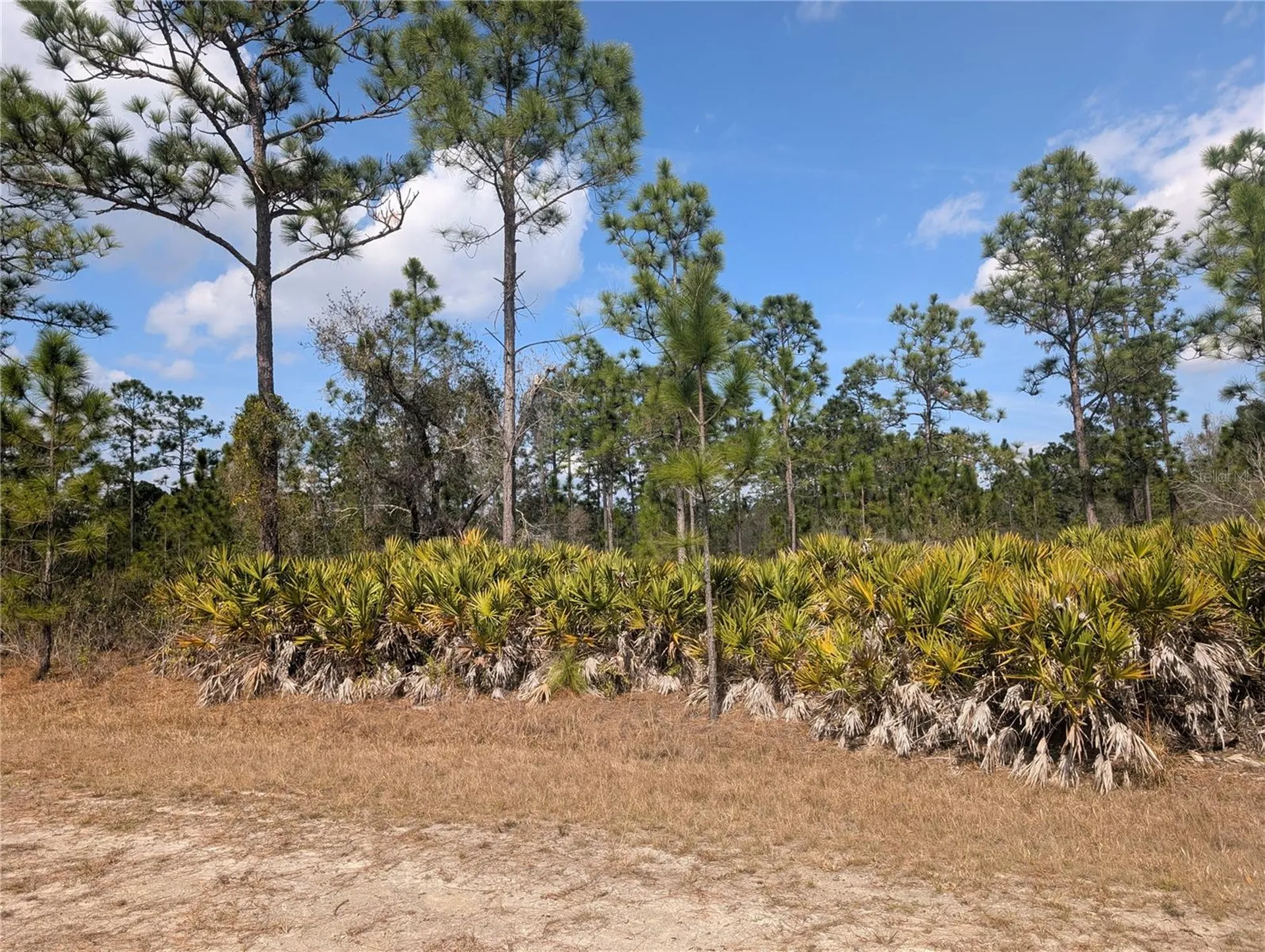 614 Alba Drive Indian Lake Estates FL 33855