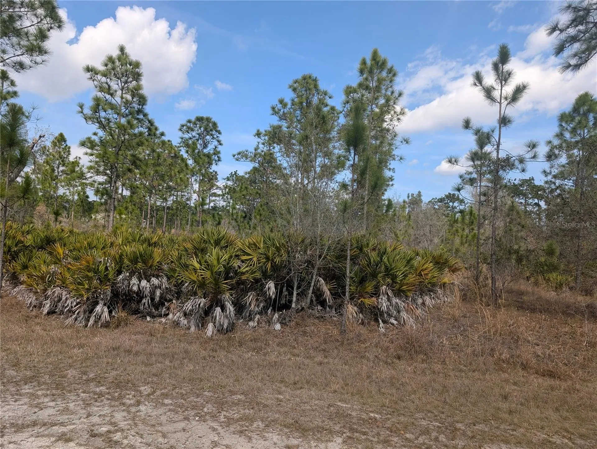 614 Alba Drive Indian Lake Estates FL 33855