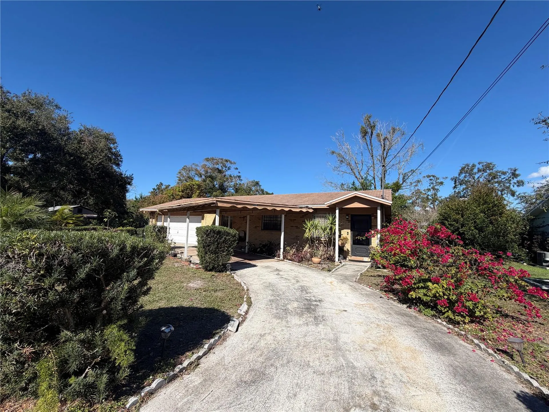 2010 E Chelsea Street Tampa FL 33610