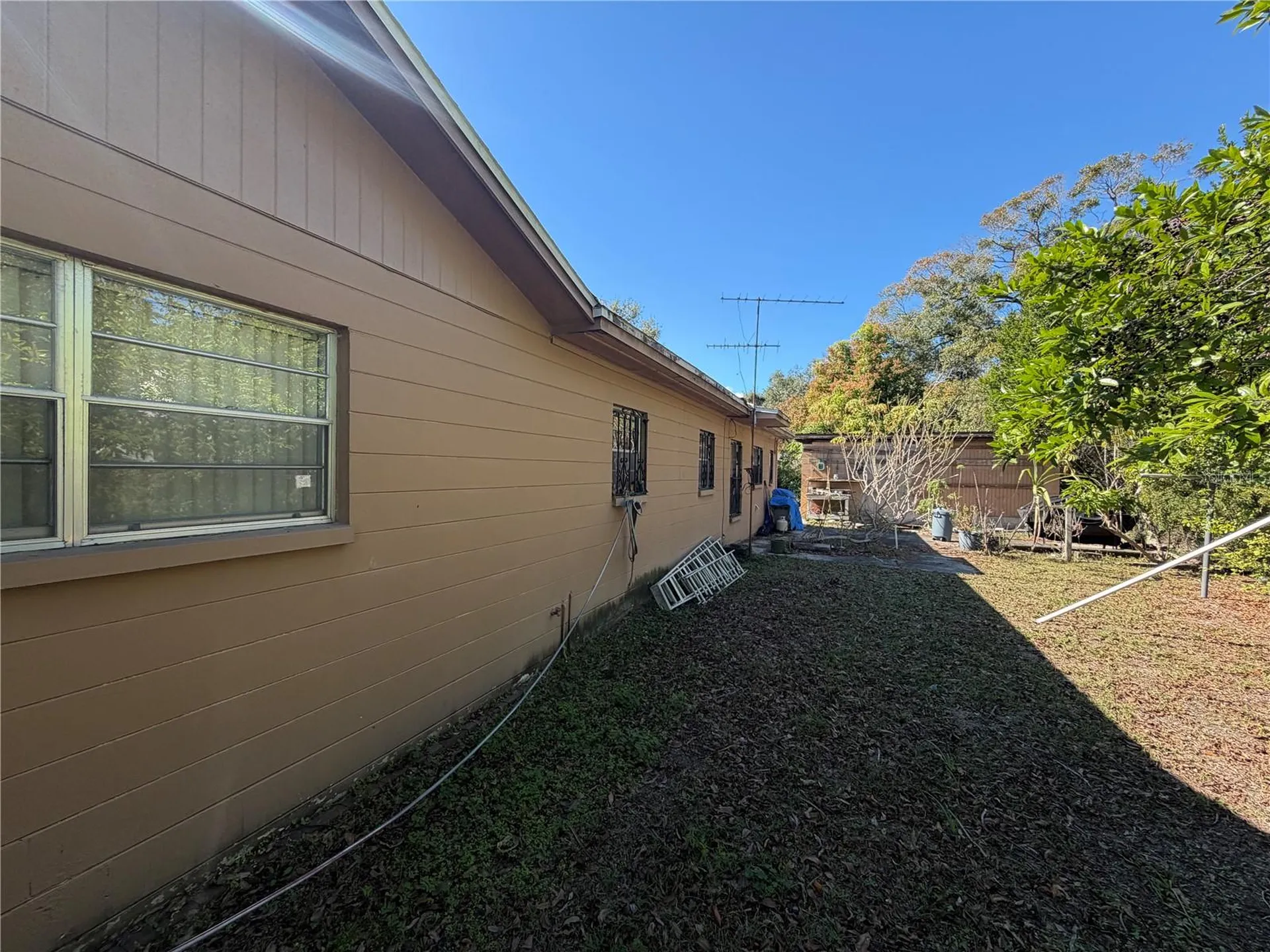 2010 E Chelsea Street Tampa FL 33610