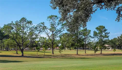 1303 Glengarry Drive Palm Harbor FL 34684