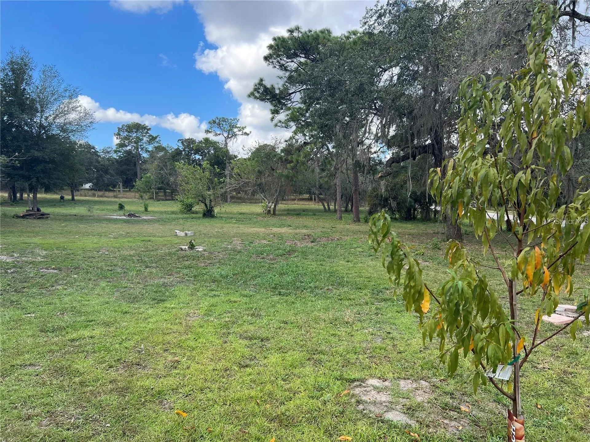 12824 Ithaca Avenue Hudson FL 34667