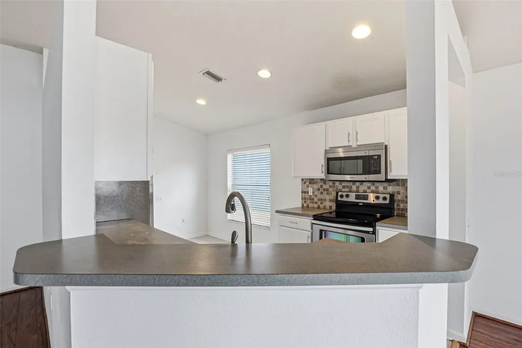 30428 Randall Manor Street Wesley Chapel FL 33545