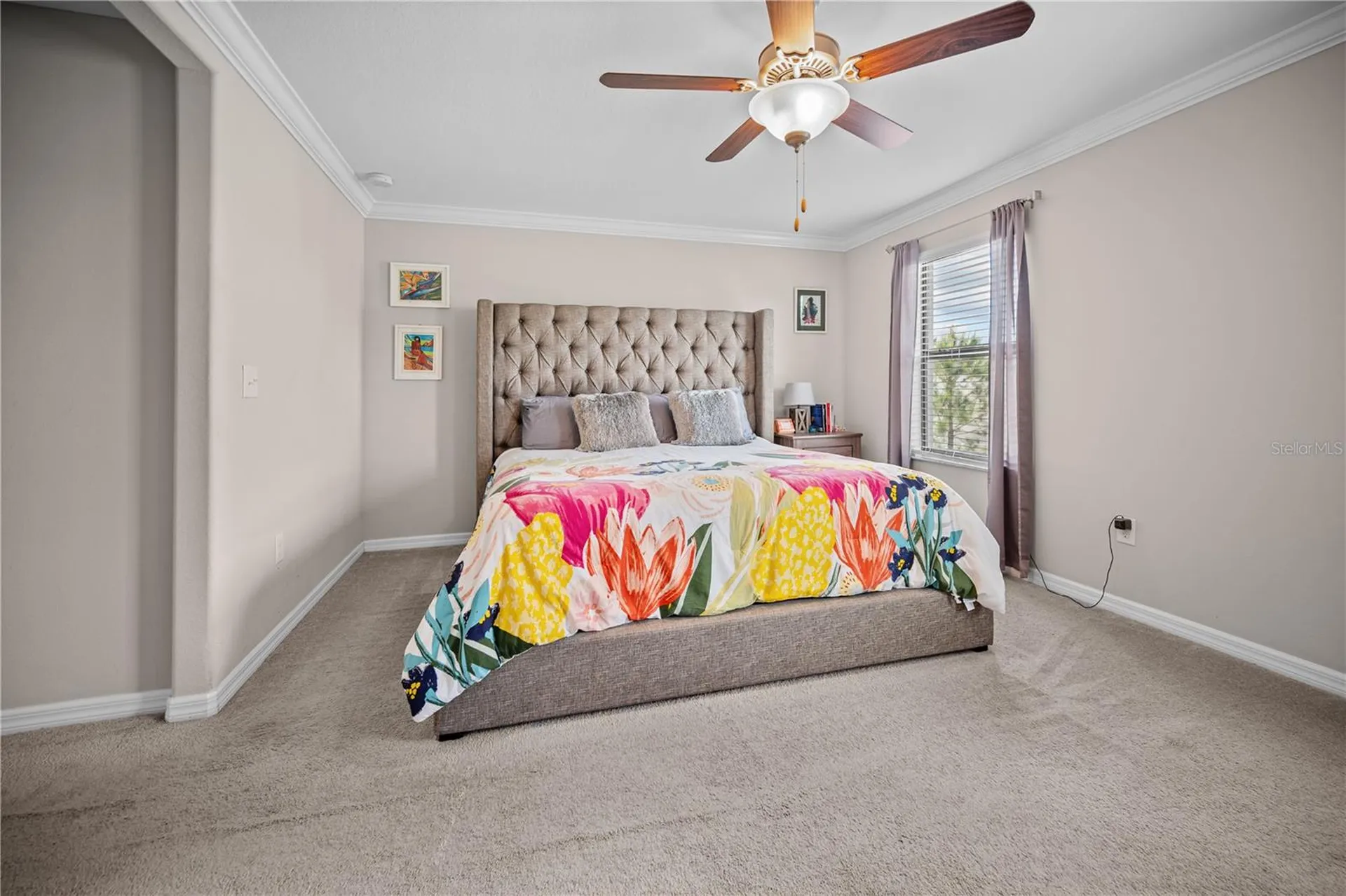 4003 Wild Senna Boulevard Tampa FL 33619