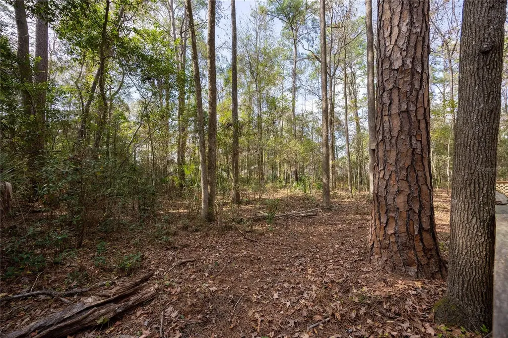 5206 SW 86th Terrace Gainesville FL 32608