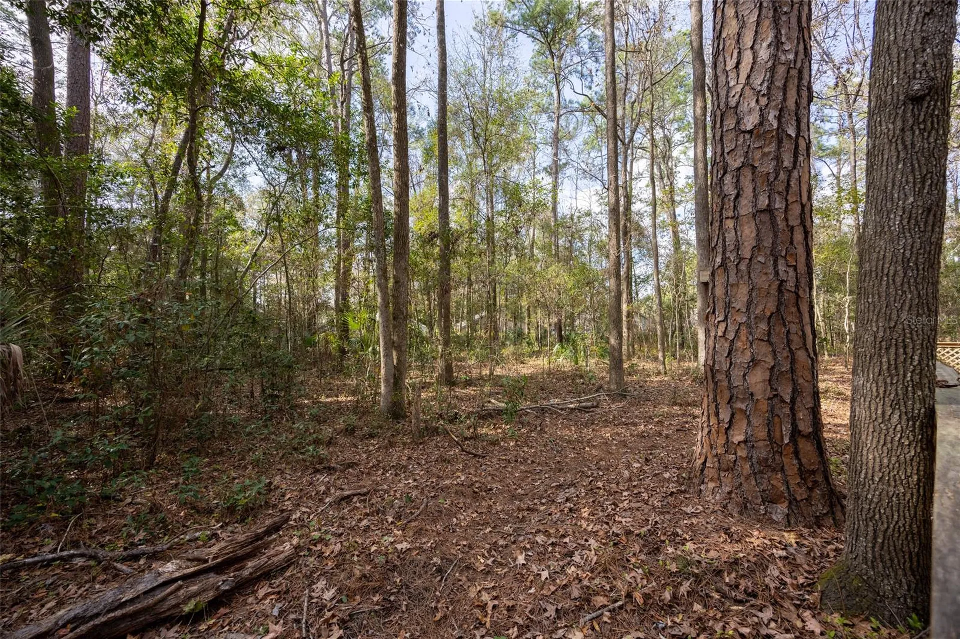 5206 SW 86th Terrace Gainesville FL 32608