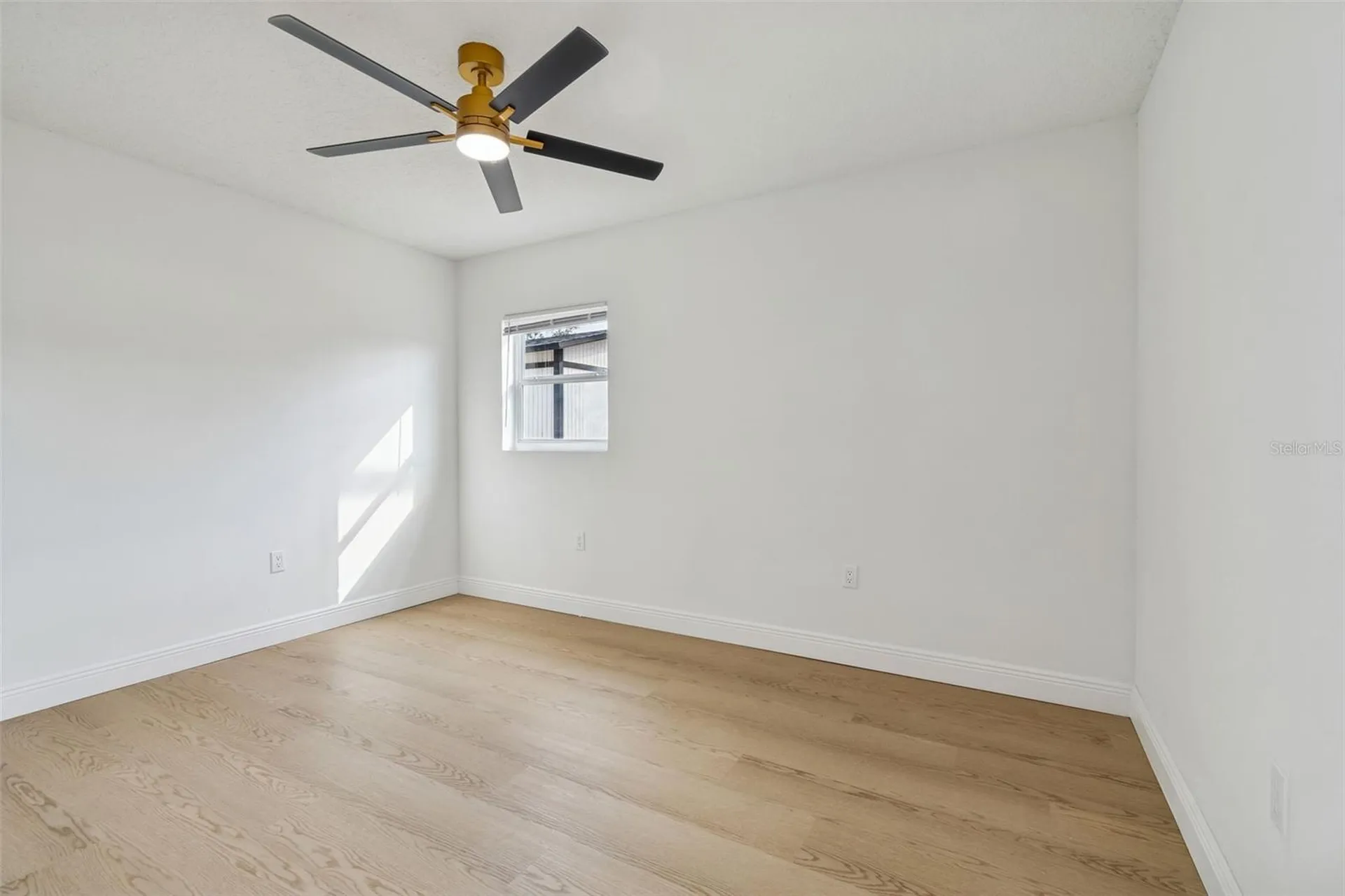 7910 W Powhatan Avenue Tampa FL 33615