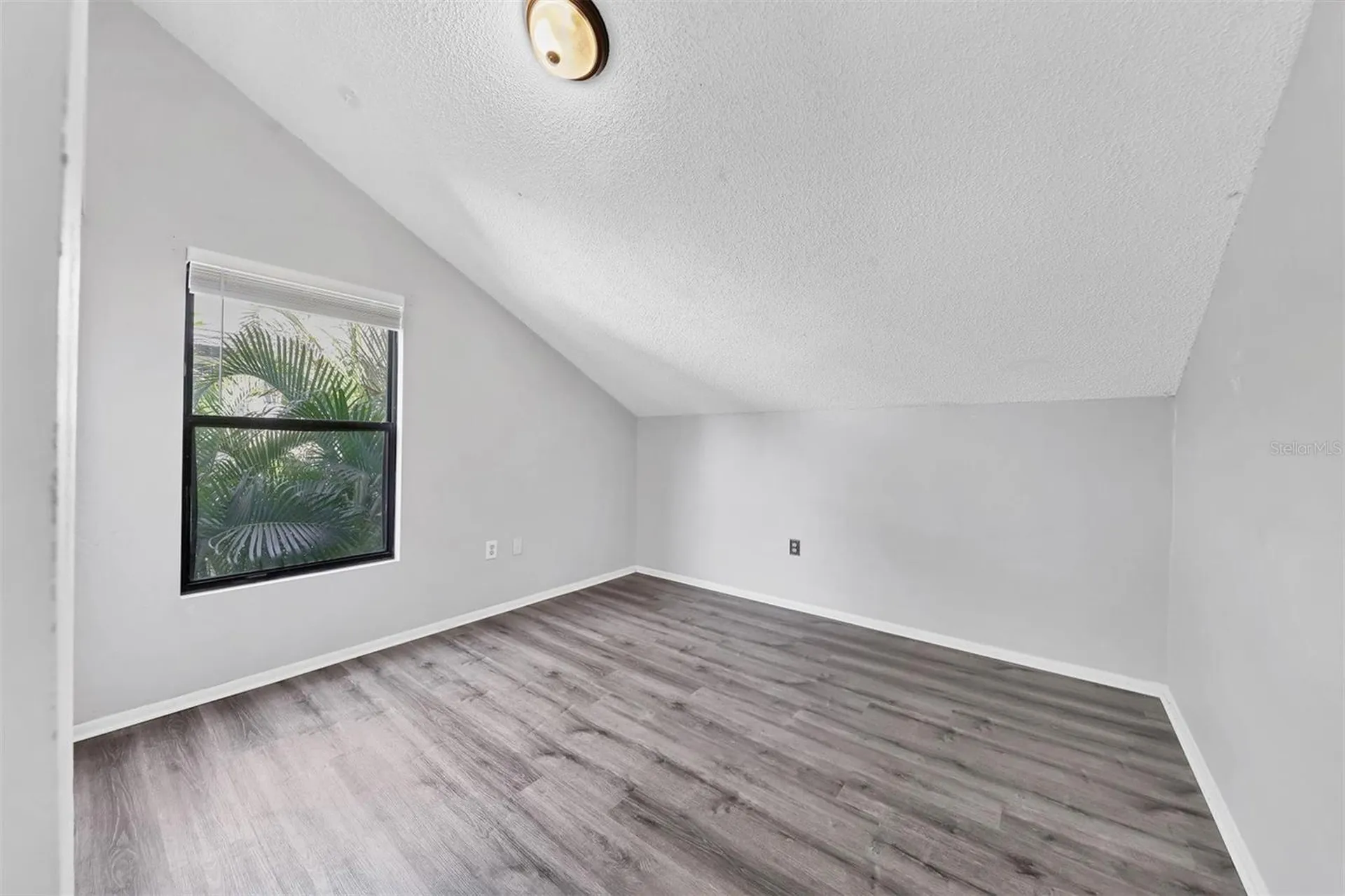 4038 Olive Avenue Sarasota FL 34231