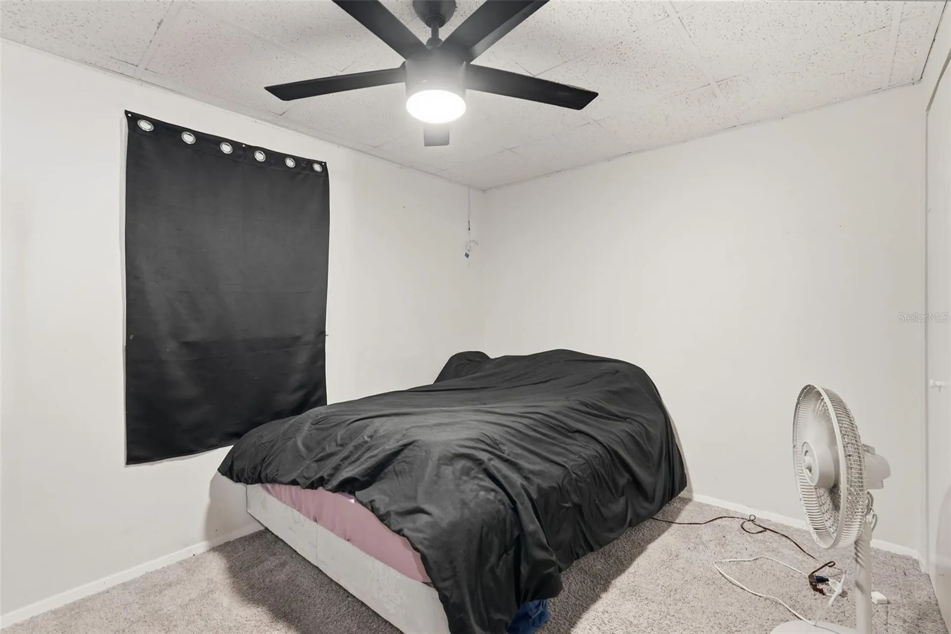 1709 Carnegie Circle Tampa FL 33619