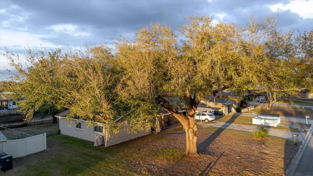 1210 Lady Elaine Drive Valrico FL 33594