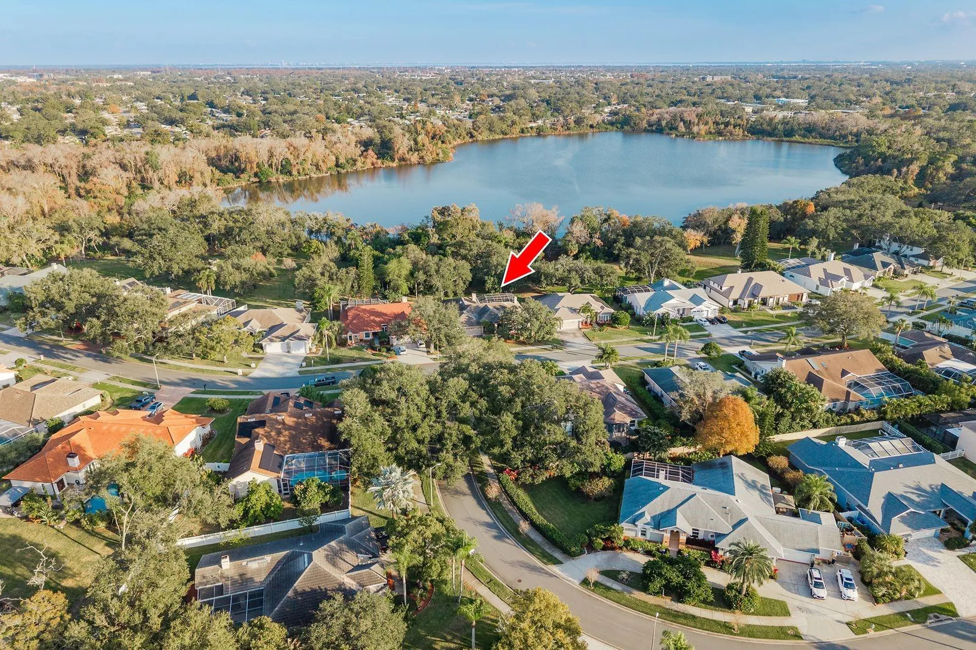 771 Weathersfield Drive Dunedin FL 34698