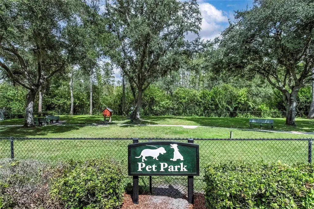 20914 Ruby Red Way Land O Lakes FL 34637