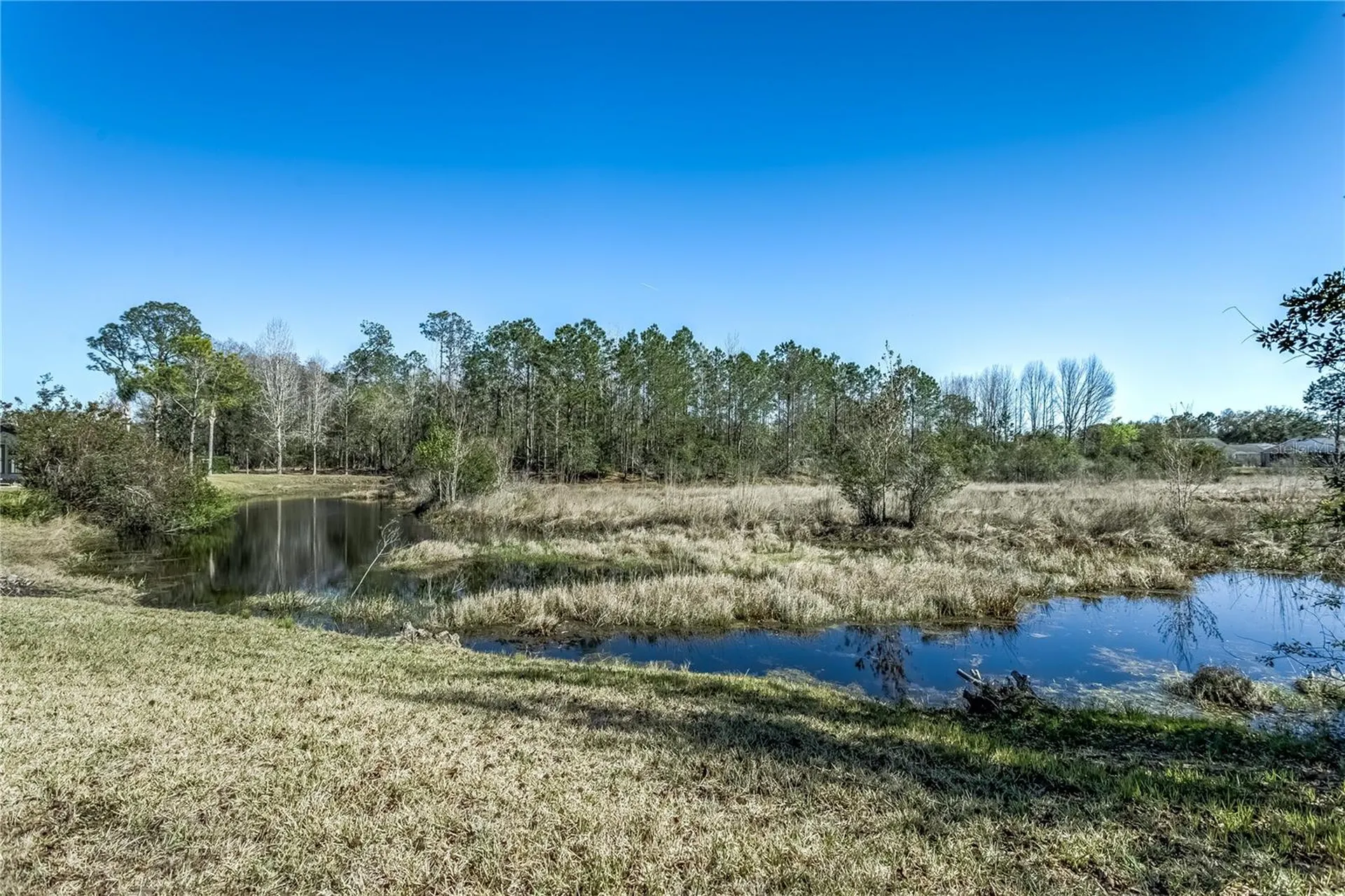 20914 Ruby Red Way Land O Lakes FL 34637