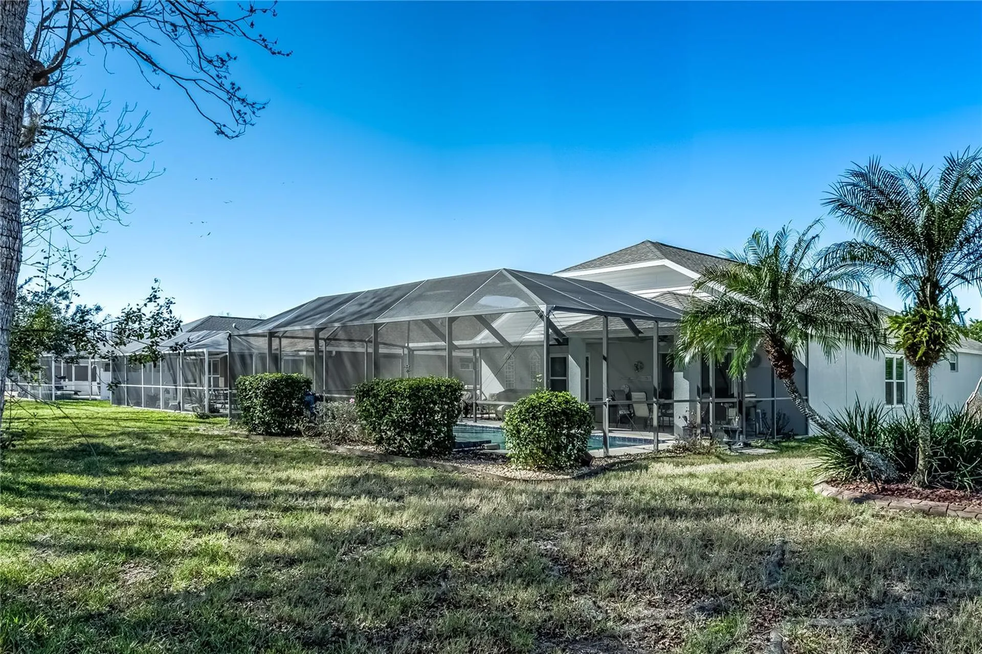 20914 Ruby Red Way Land O Lakes FL 34637
