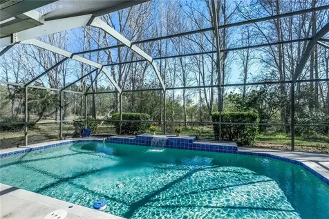 20914 Ruby Red Way Land O Lakes FL 34637