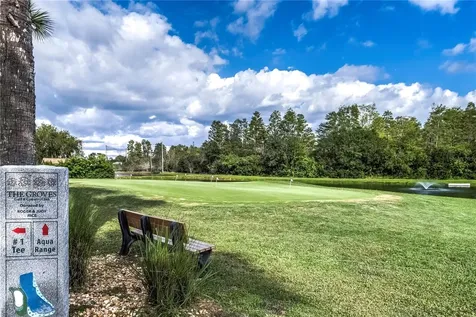 20914 Ruby Red Way Land O Lakes FL 34637
