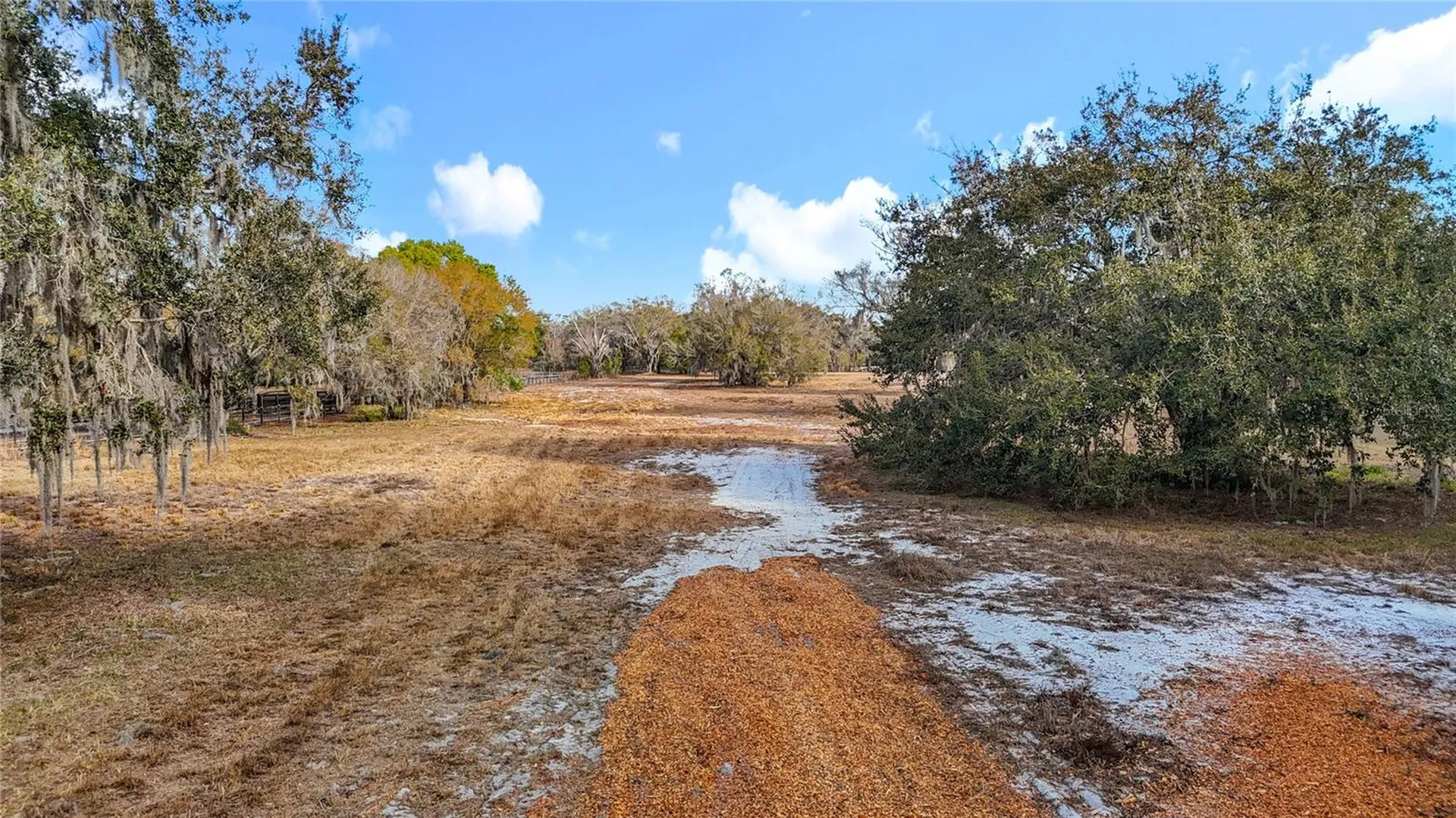 8804 Misty Morning Trail Odessa FL 33556