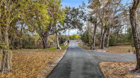 8804 Misty Morning Trail Odessa FL 33556