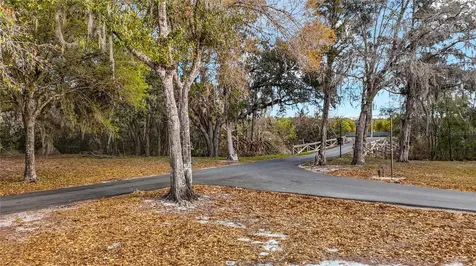 8804 Misty Morning Trail Odessa FL 33556
