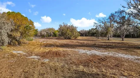 8804 Misty Morning Trail Odessa FL 33556