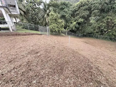 Bo Pitahaya Luquillo PR 00773